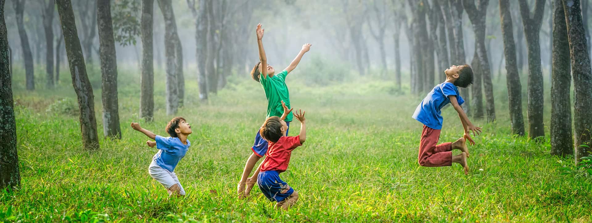 Understanding superdiversity and what it means in an ECE setting.