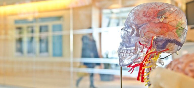 The brain, emotions, and learning