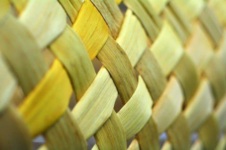 What do I need to know to implement Te Whāriki 2017?
