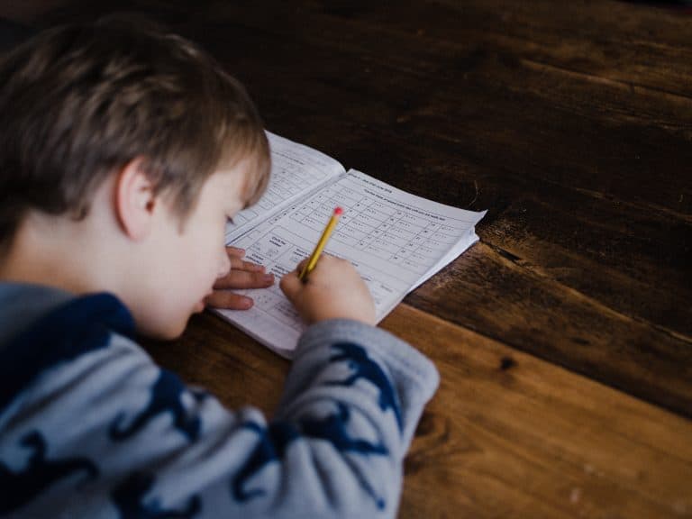 Homework for primary school students