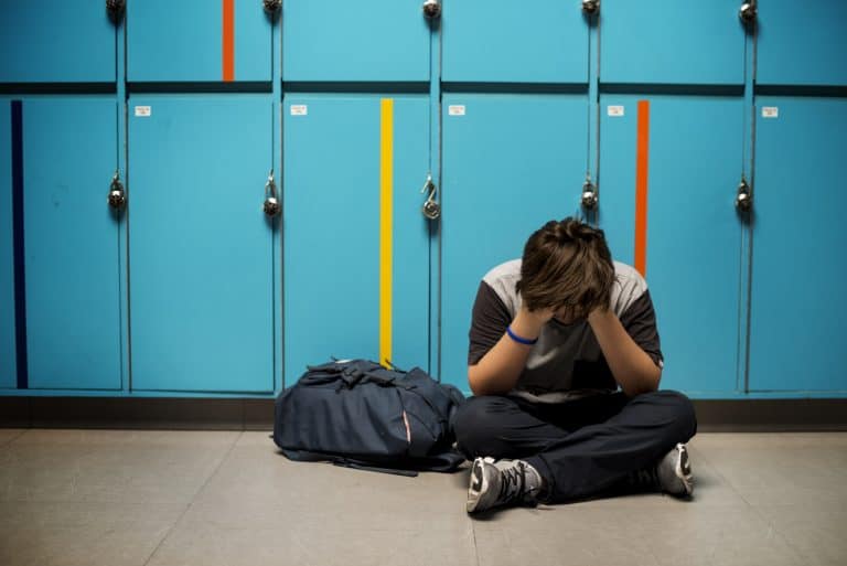 School bullying research