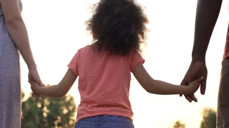 What is parent partnership?