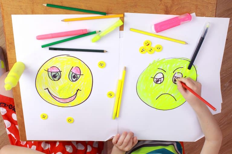 Supporting the social emotional competence of infants and toddlers