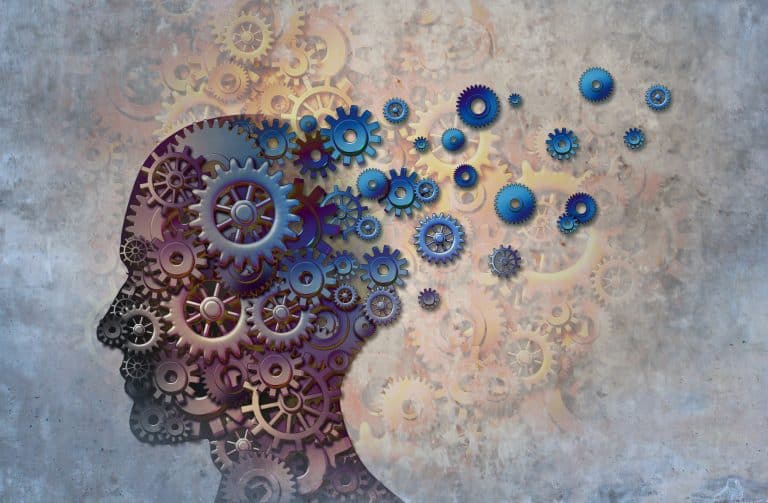 An introduction to cognitive load theory