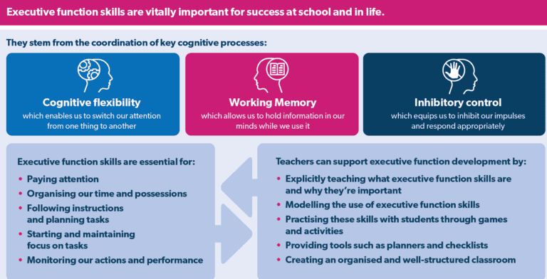 Executive function infographic