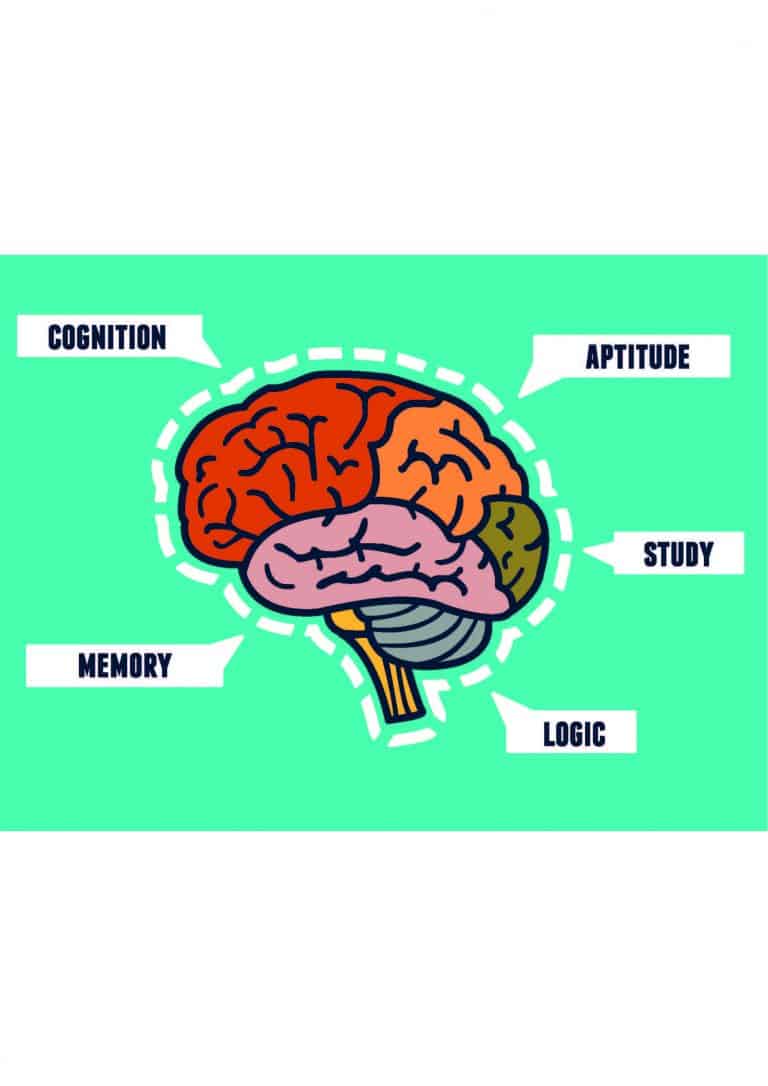 The role of memory, knowledge, and understanding in learning