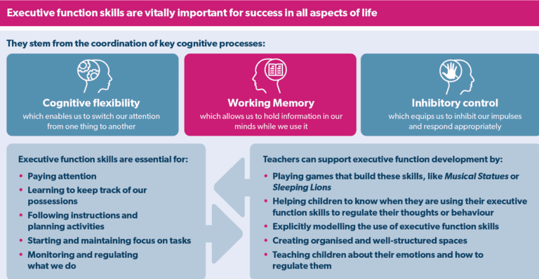 Executive function infographic