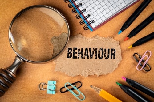 Being a behaviour detective: Looking for clues within children’s challenging behaviours
