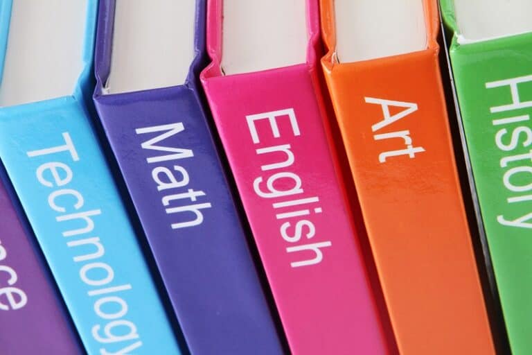 The impetus for the curriculum report