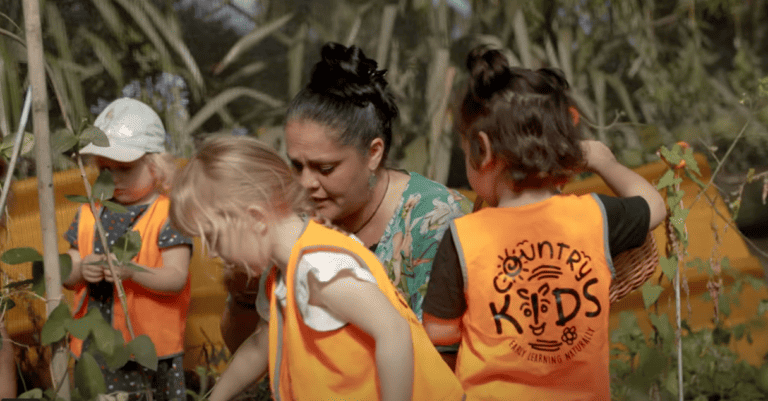 Gardening: a journey inspired by culture, values, dispositions, and engagement