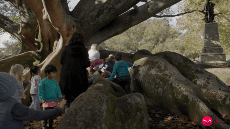 Local curriculum and learning outside the centre