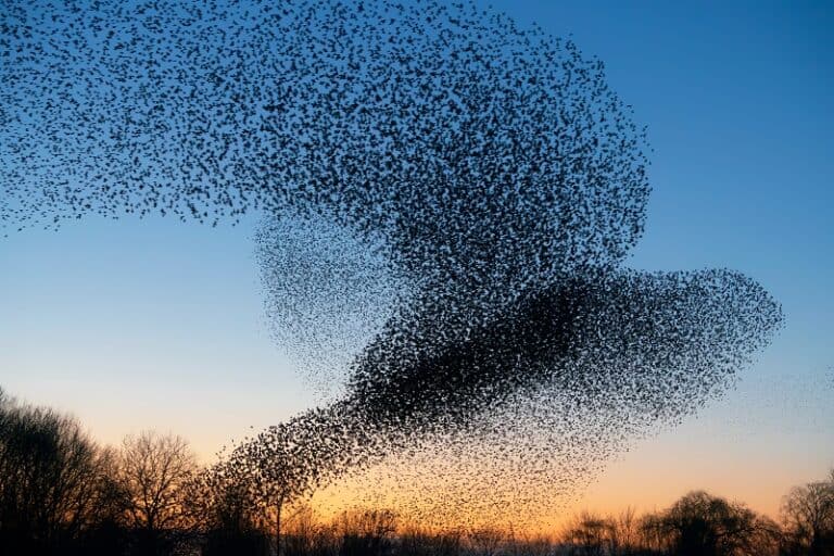 Strategy design in complex systems